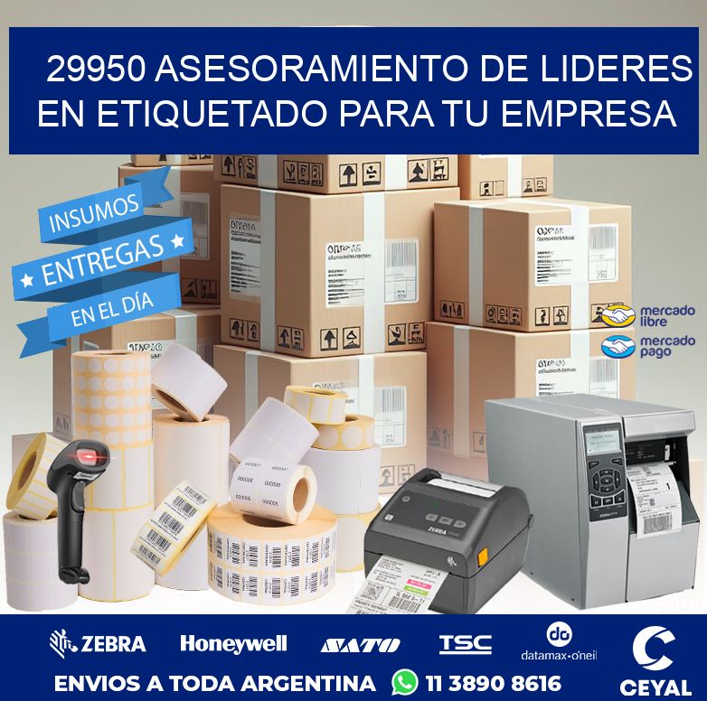 29950 ASESORAMIENTO DE LIDERES EN ETIQUETADO PARA TU EMPRESA