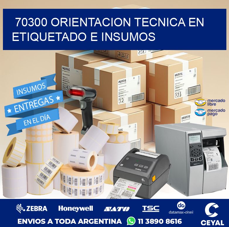 70300 ORIENTACION TECNICA EN ETIQUETADO E INSUMOS
