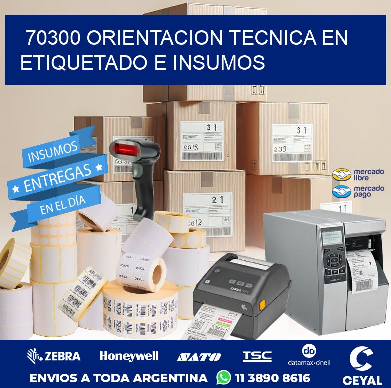 70300 ORIENTACION TECNICA EN ETIQUETADO E INSUMOS