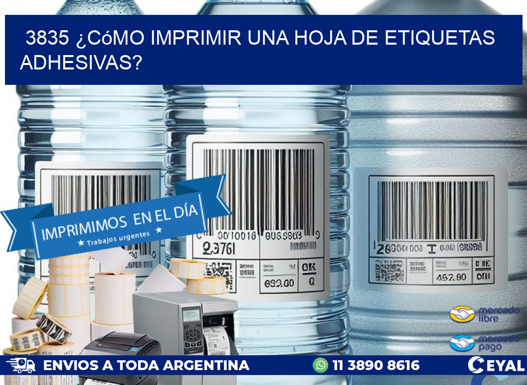 3835 ¿Cómo imprimir una hoja de etiquetas adhesivas?