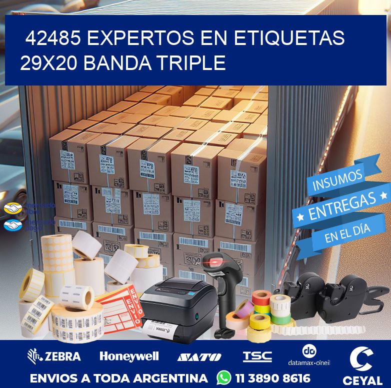 42485 EXPERTOS EN ETIQUETAS 29X20 BANDA TRIPLE