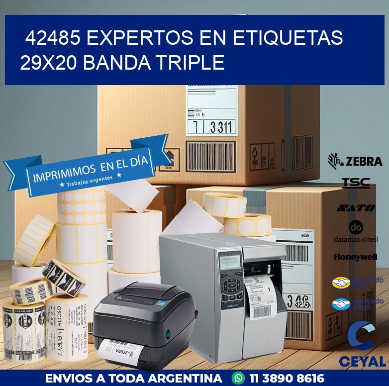 42485 EXPERTOS EN ETIQUETAS 29X20 BANDA TRIPLE