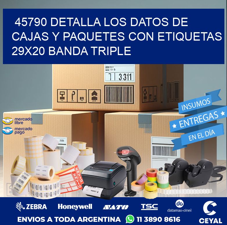 45790 DETALLA LOS DATOS DE CAJAS Y PAQUETES CON ETIQUETAS 29X20 BANDA TRIPLE