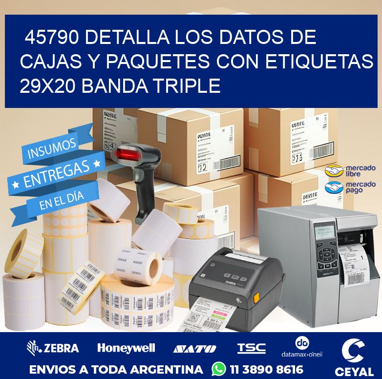 45790 DETALLA LOS DATOS DE CAJAS Y PAQUETES CON ETIQUETAS 29X20 BANDA TRIPLE