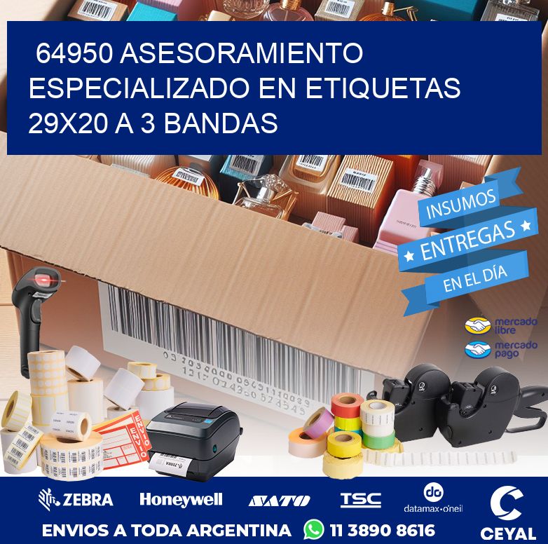 64950 ASESORAMIENTO ESPECIALIZADO EN ETIQUETAS 29X20 A 3 BANDAS