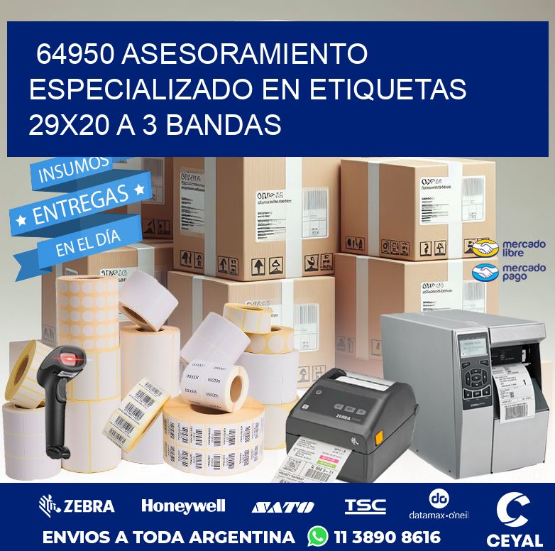64950 ASESORAMIENTO ESPECIALIZADO EN ETIQUETAS 29X20 A 3 BANDAS