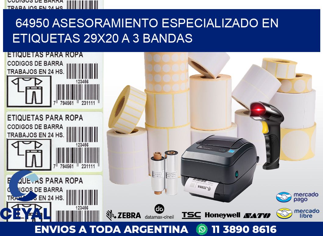 64950 ASESORAMIENTO ESPECIALIZADO EN ETIQUETAS 29X20 A 3 BANDAS