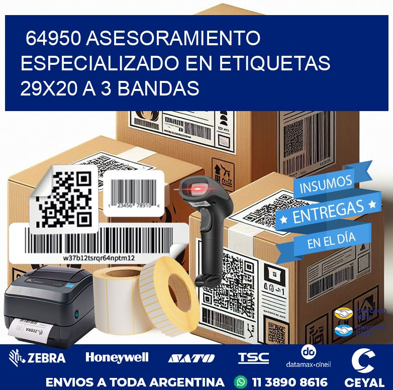 64950 ASESORAMIENTO ESPECIALIZADO EN ETIQUETAS 29X20 A 3 BANDAS