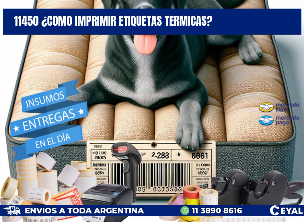 11450 ¿COMO IMPRIMIR ETIQUETAS TERMICAS?