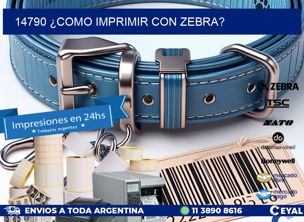 14790 ¿COMO IMPRIMIR CON ZEBRA?