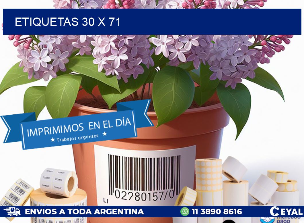 ETIQUETAS 30 x 71