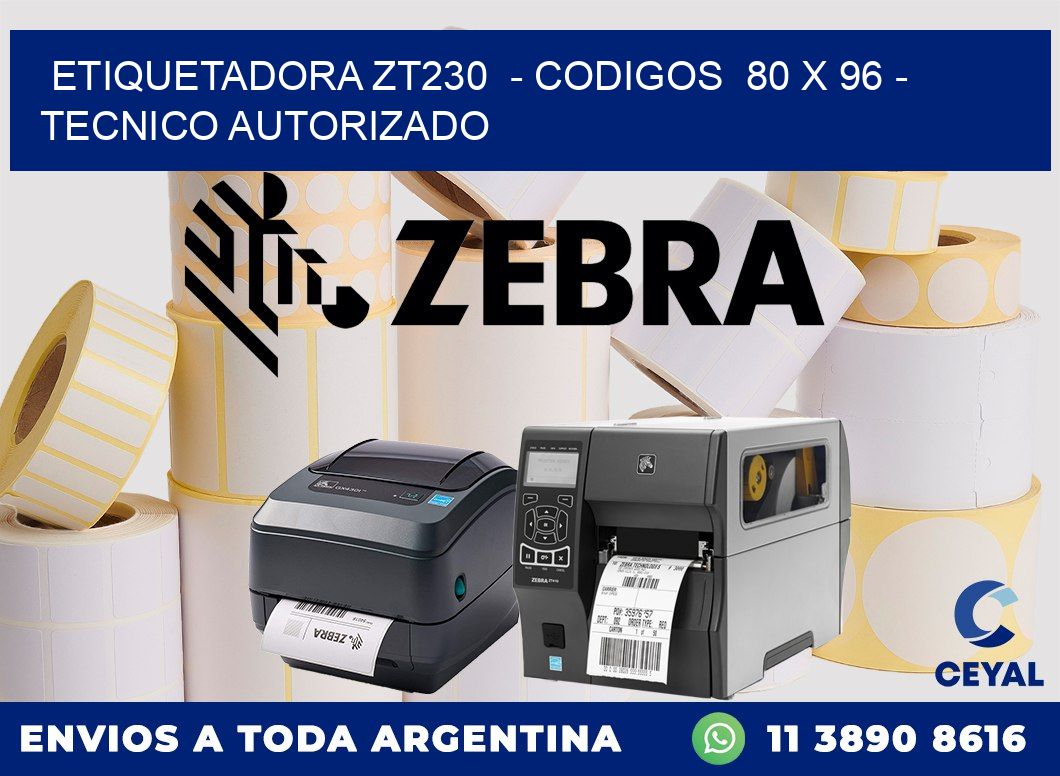 ETIQUETADORA ZT230  - CODIGOS  80 x 96 - TECNICO AUTORIZADO