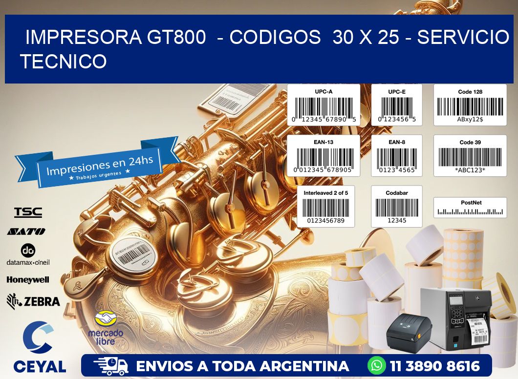 IMPRESORA GT800  - CODIGOS  30 x 25 - SERVICIO TECNICO