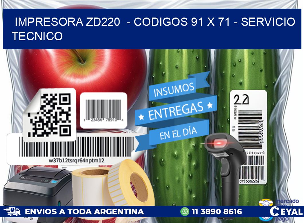 IMPRESORA ZD220  - CODIGOS 91 x 71 - SERVICIO TECNICO