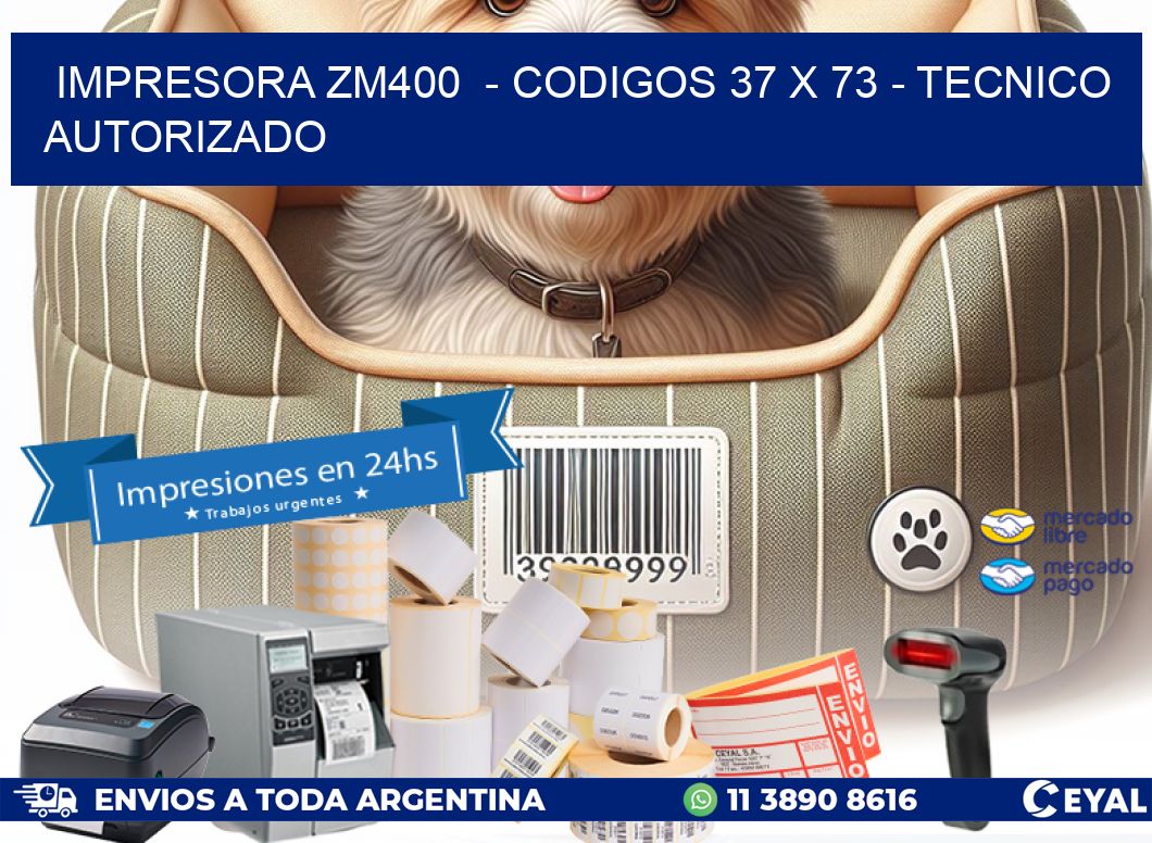 IMPRESORA ZM400  – CODIGOS 37 x 73 – TECNICO AUTORIZADO