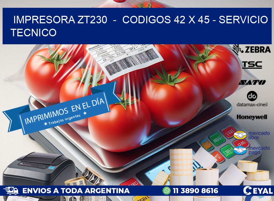 IMPRESORA ZT230  -  CODIGOS 42 x 45 - SERVICIO TECNICO