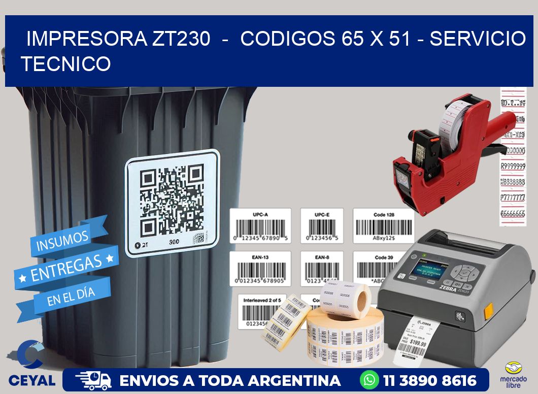 IMPRESORA ZT230  -  CODIGOS 65 x 51 - SERVICIO TECNICO