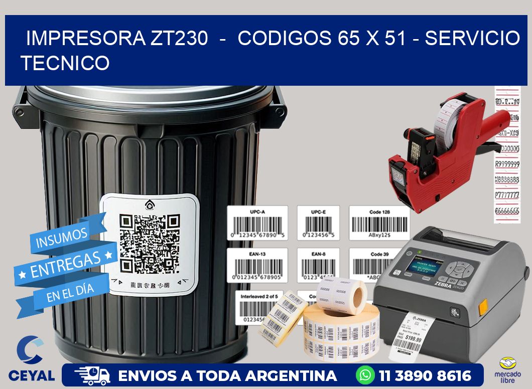 IMPRESORA ZT230  –  CODIGOS 65 x 51 – SERVICIO TECNICO