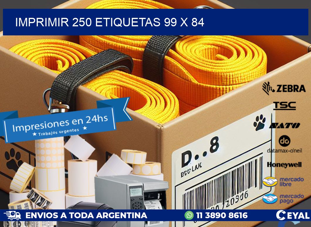 IMPRIMIR 250 ETIQUETAS 99 x 84