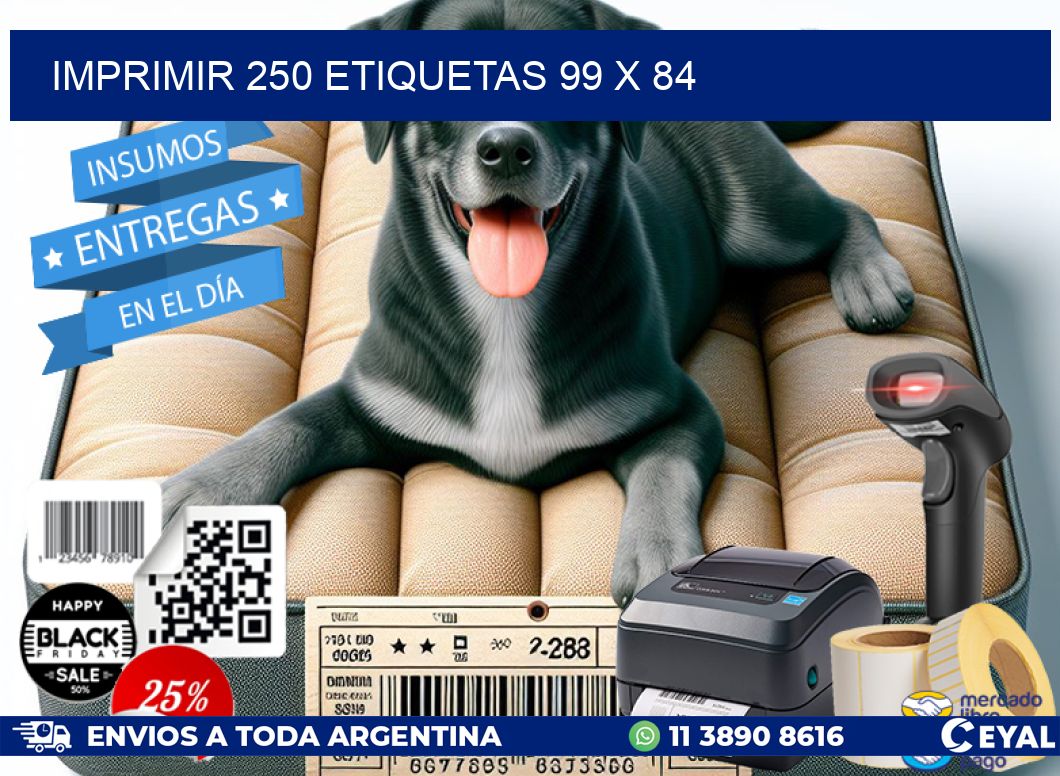 IMPRIMIR 250 ETIQUETAS 99 x 84