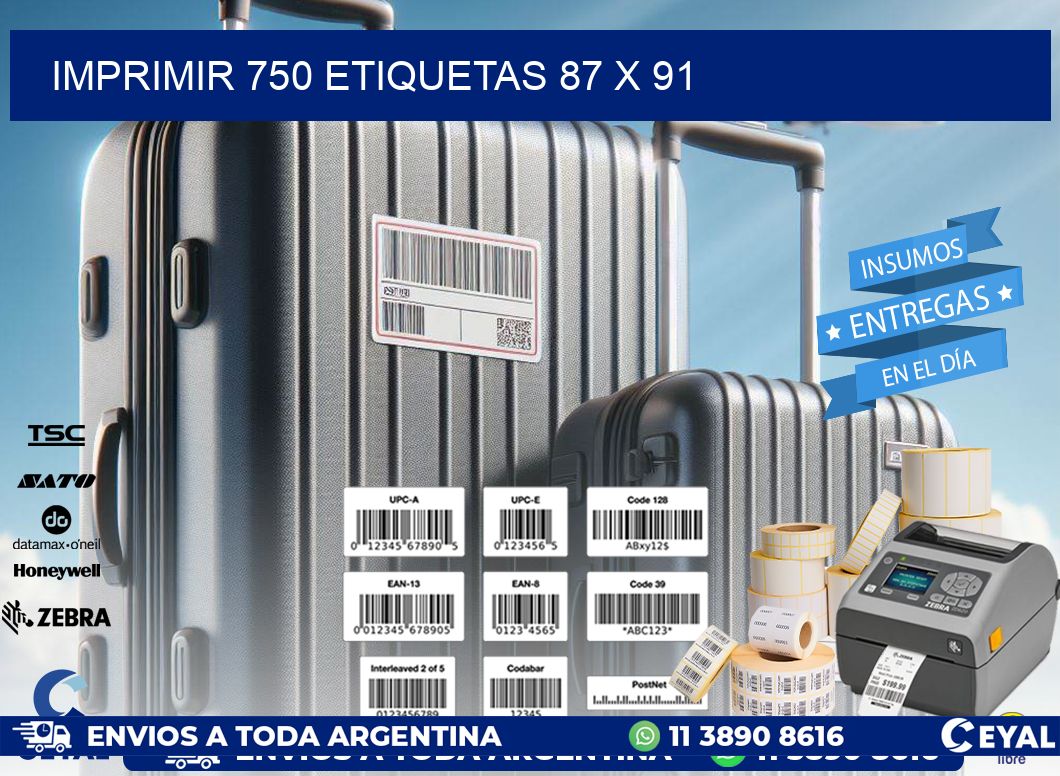 IMPRIMIR 750 ETIQUETAS 87 x 91
