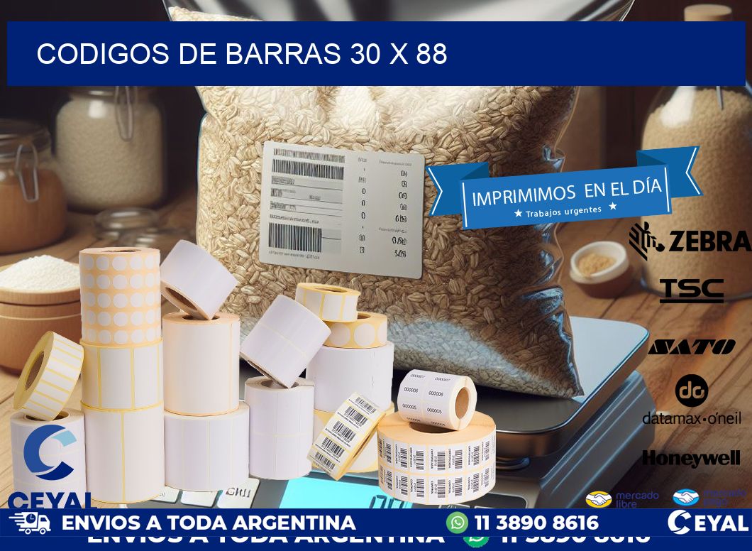 codigos de barras 30 x 88