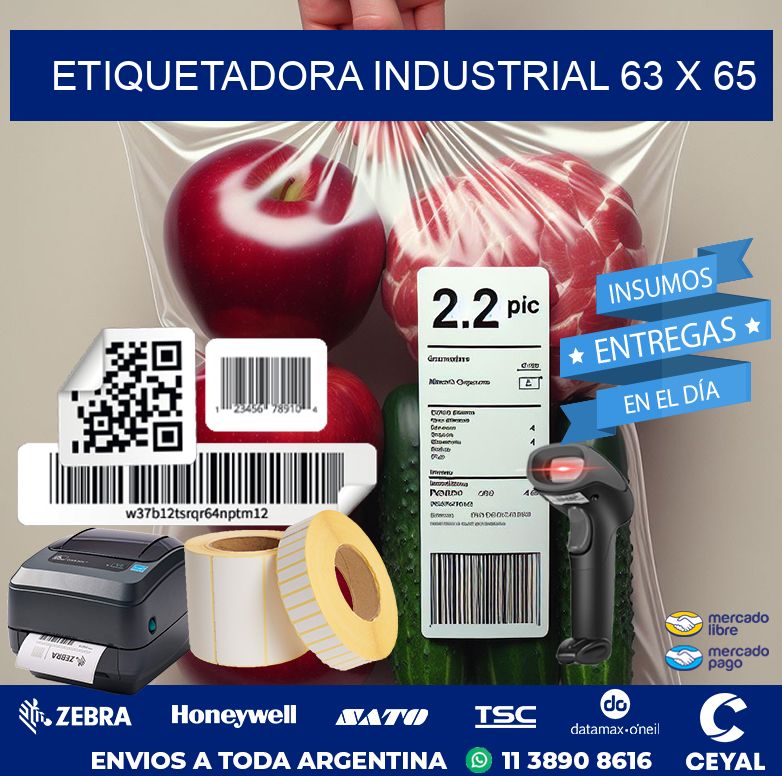 etiquetadora industrial 63 x 65