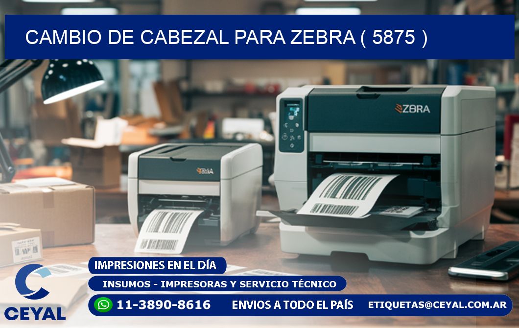 CAMBIO DE CABEZAL PARA ZEBRA ( 5875 )