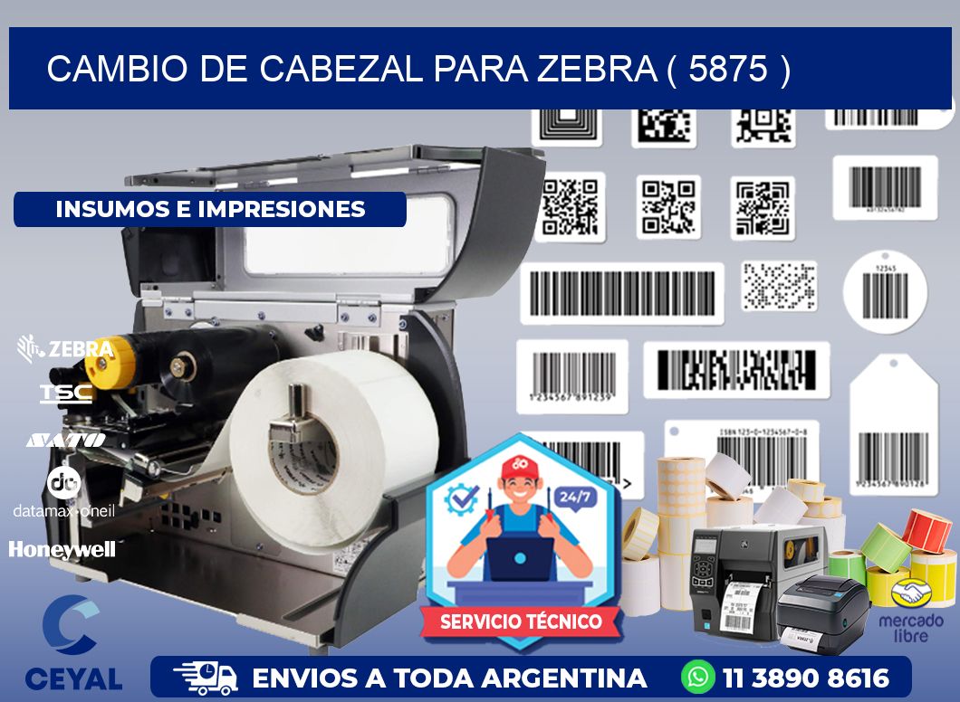 CAMBIO DE CABEZAL PARA ZEBRA ( 5875 )