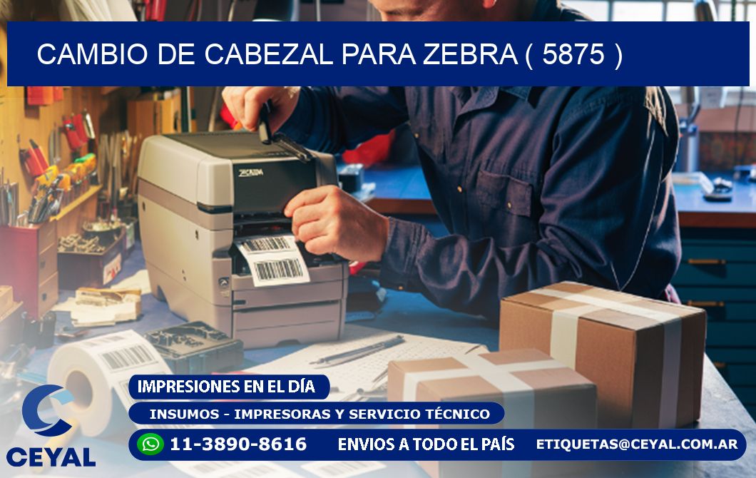CAMBIO DE CABEZAL PARA ZEBRA ( 5875 )