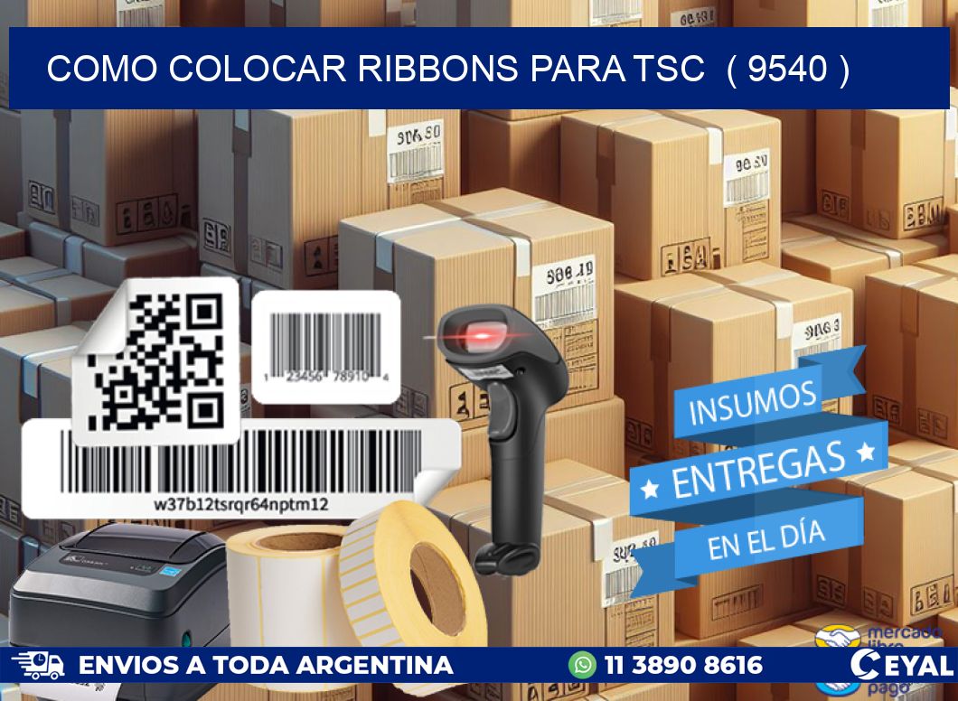 COMO COLOCAR RIBBONS PARA TSC  ( 9540 )