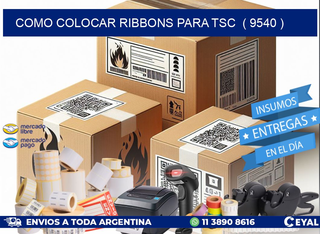 COMO COLOCAR RIBBONS PARA TSC  ( 9540 )