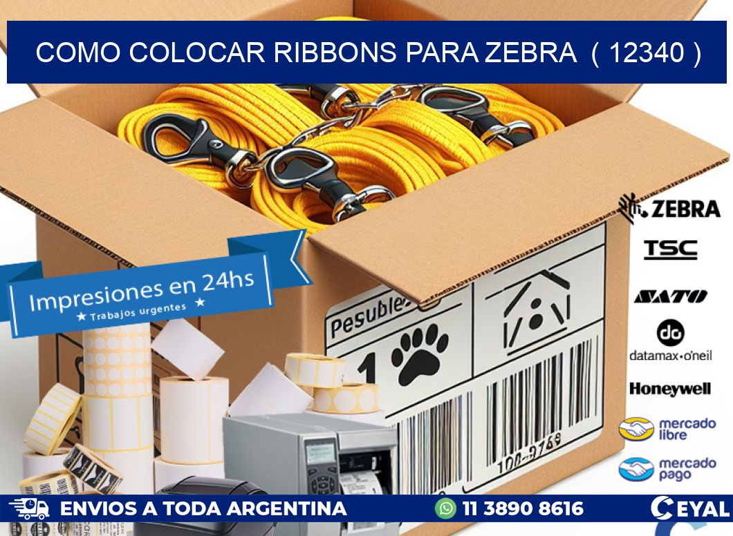 COMO COLOCAR RIBBONS PARA ZEBRA  ( 12340 )