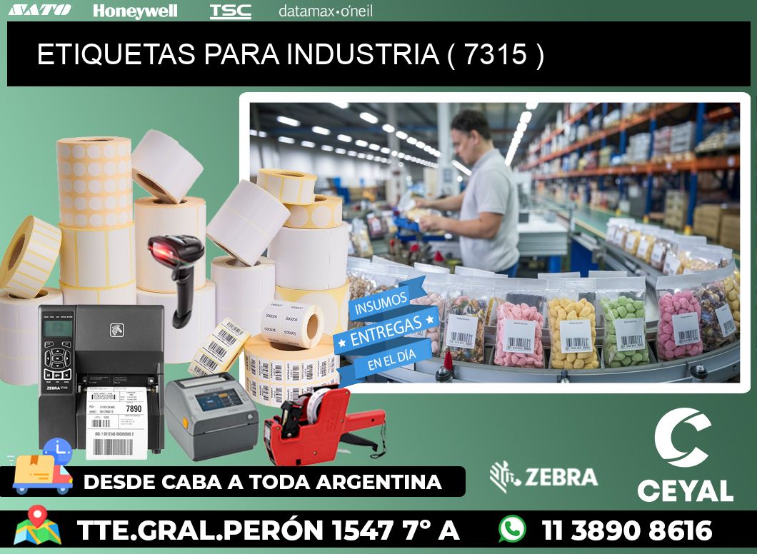ETIQUETAS PARA INDUSTRIA ( 7315 )