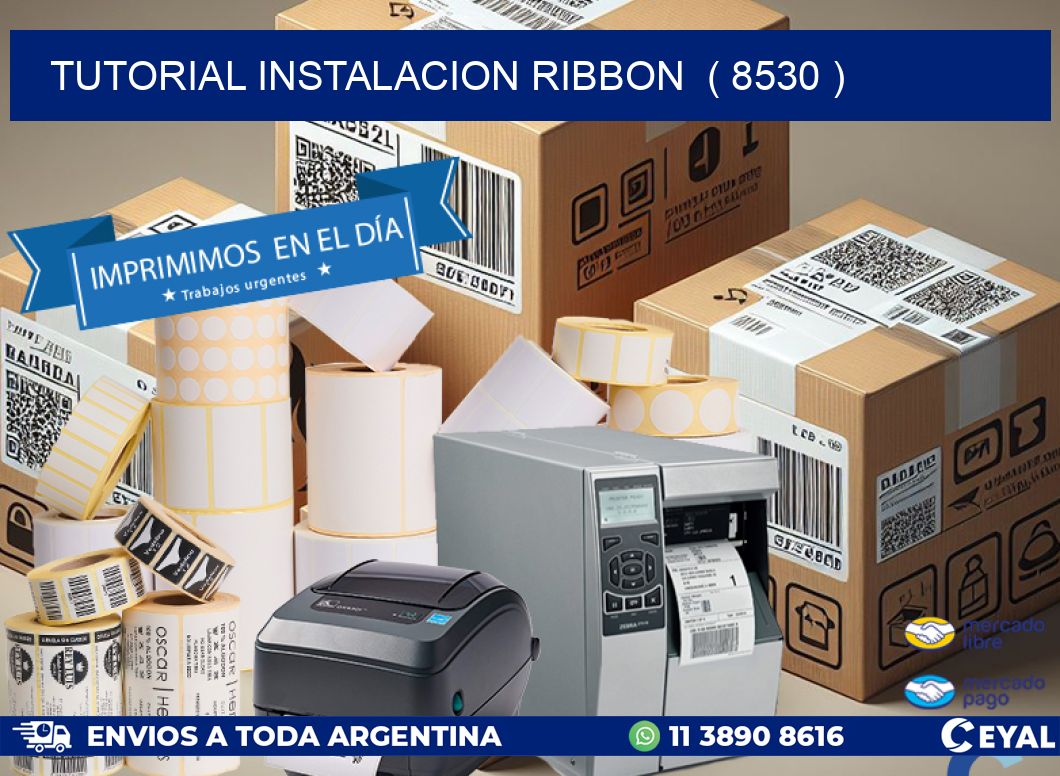 TUTORIAL INSTALACION RIBBON  ( 8530 )