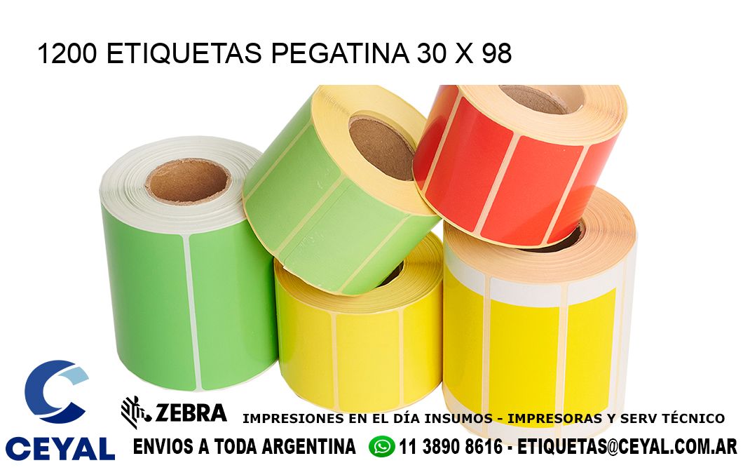 1200 ETIQUETAS PEGATINA 30 x 98