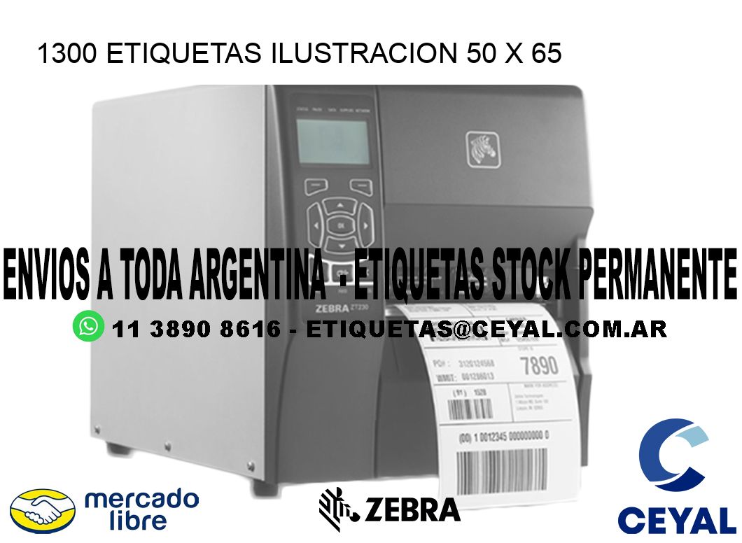 1300 ETIQUETAS ILUSTRACION 50 x 65