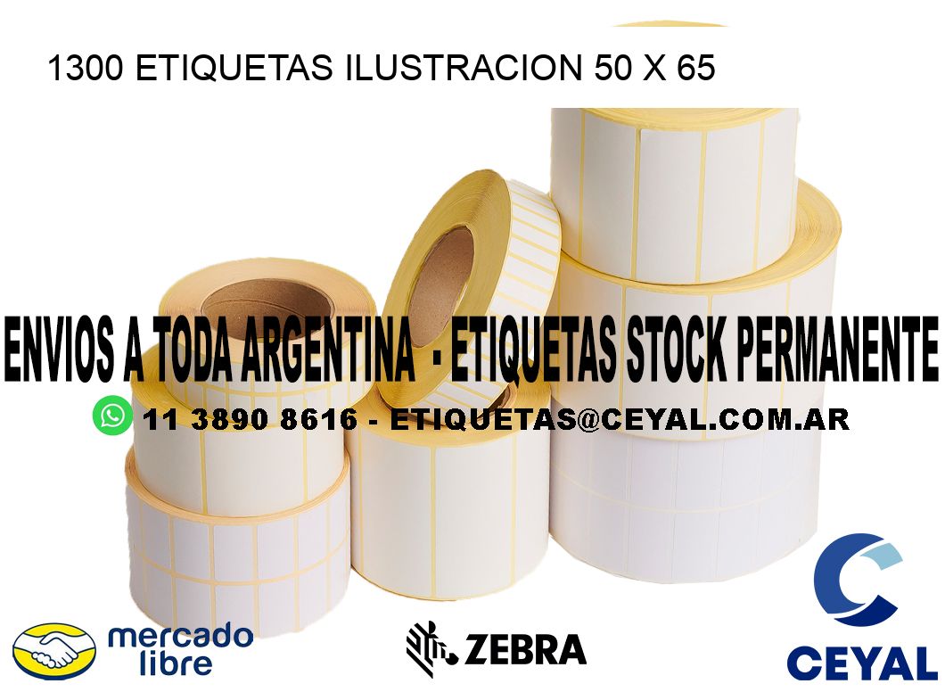1300 ETIQUETAS ILUSTRACION 50 x 65