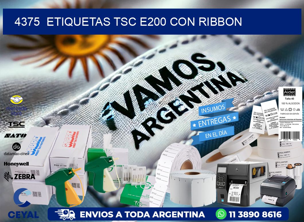 4375  ETIQUETAS TSC E200 CON RIBBON