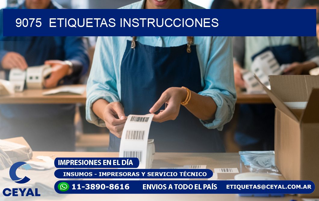 9075 ETIQUETAS INSTRUCCIONES