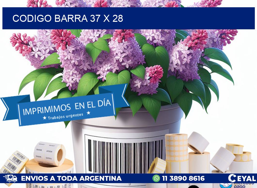 CODIGO BARRA 37 x 28
