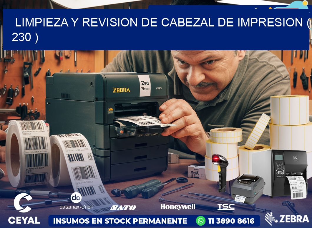 LIMPIEZA Y REVISION DE CABEZAL DE IMPRESION ( 230 )