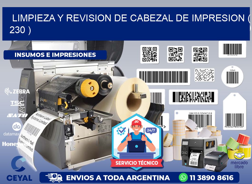 LIMPIEZA Y REVISION DE CABEZAL DE IMPRESION ( 230 )
