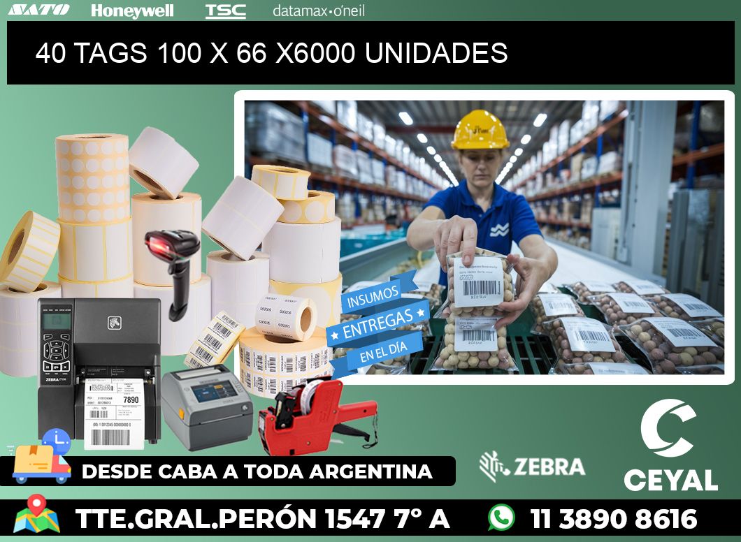 40 TAGS 100 x 66 X6000 UNIDADES