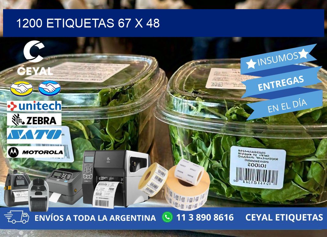 1200 ETIQUETAS 67 x 48