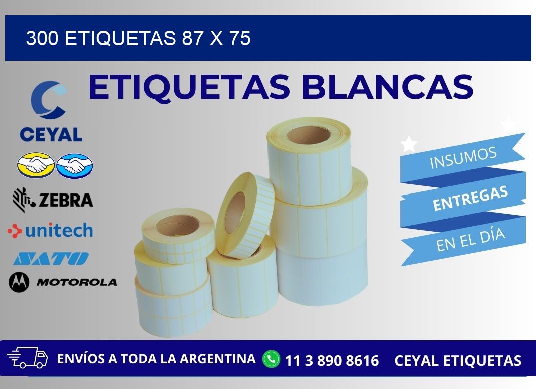 300 ETIQUETAS 87 x 75