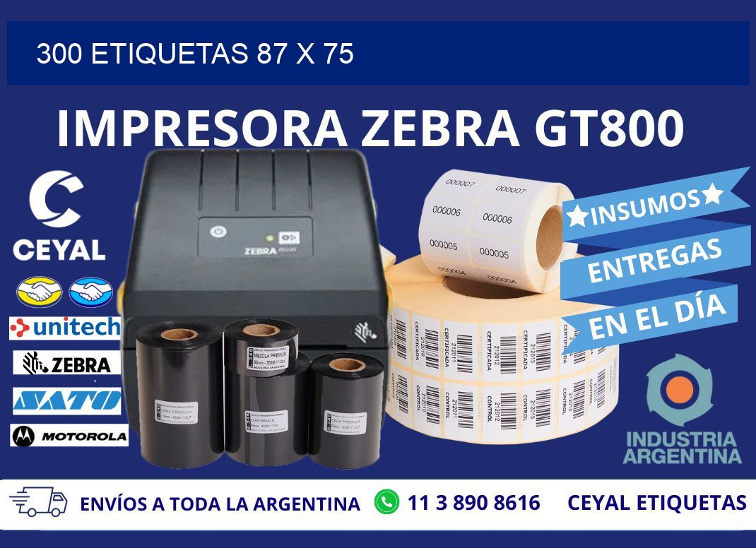 300 ETIQUETAS 87 x 75