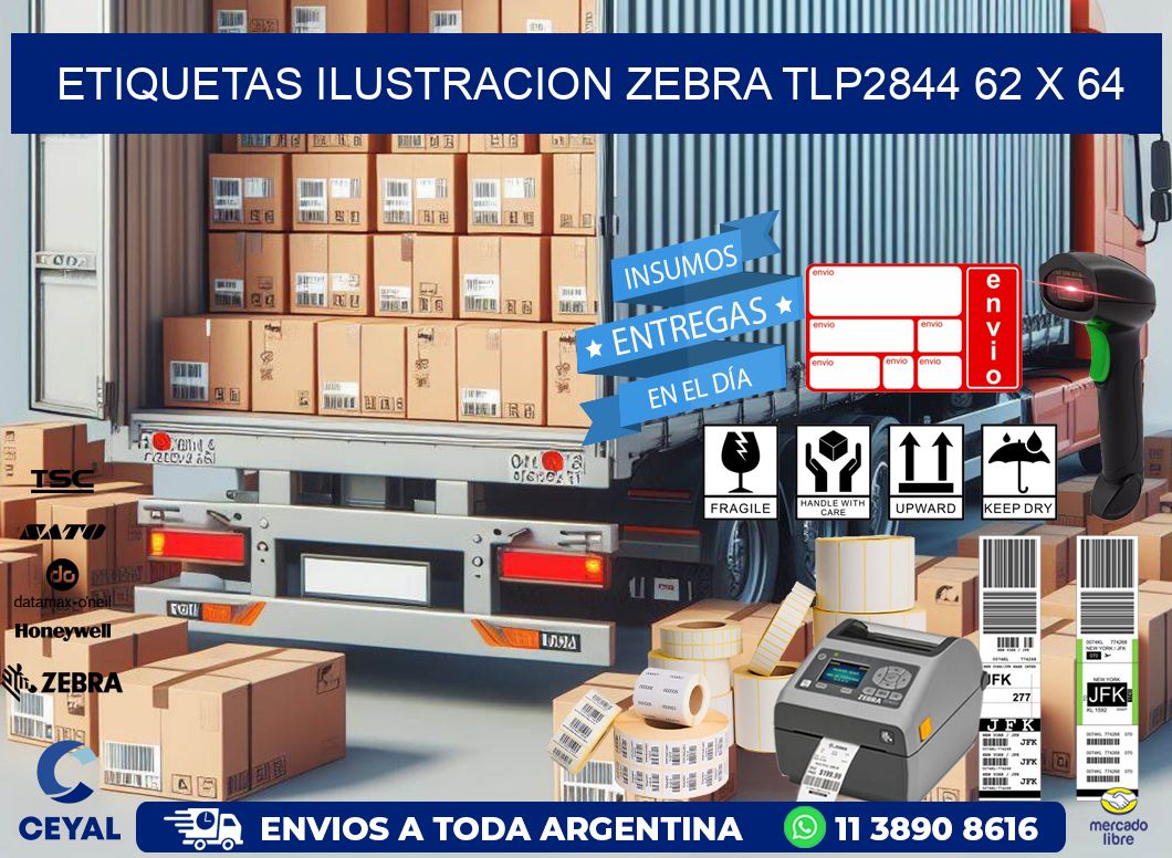 ETIQUETAS ILUSTRACION ZEBRA TLP2844 62 x 64