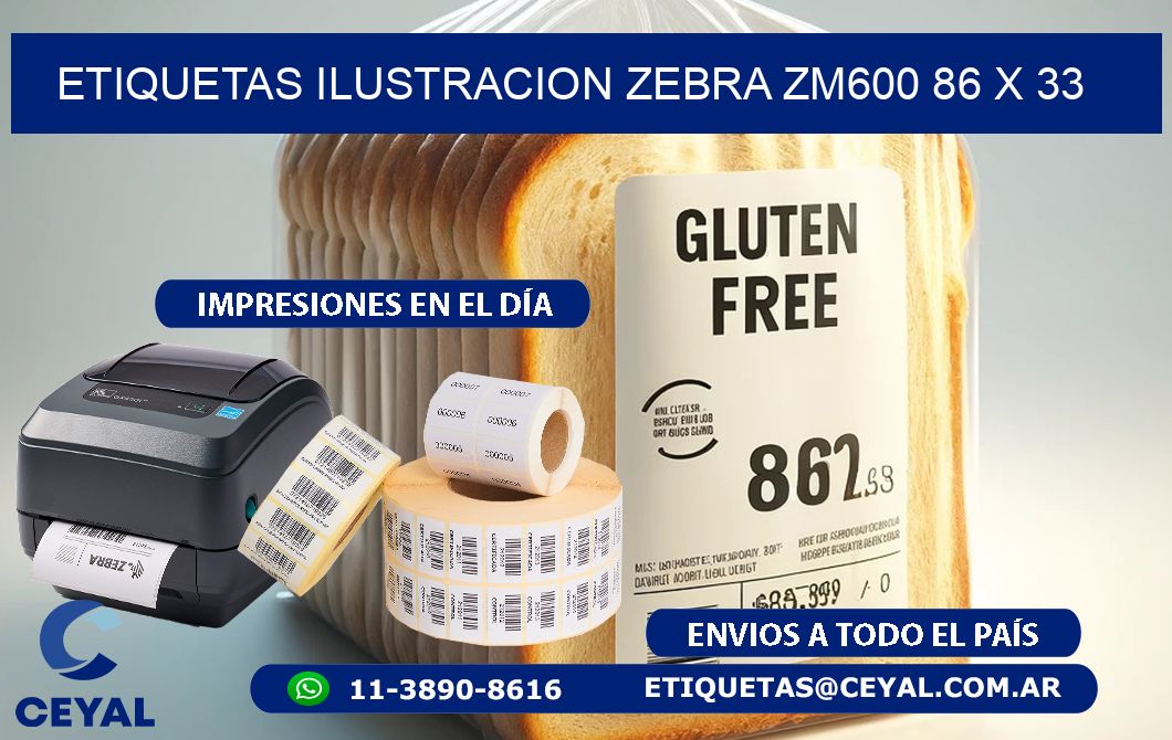 ETIQUETAS ILUSTRACION ZEBRA ZM600 86 x 33