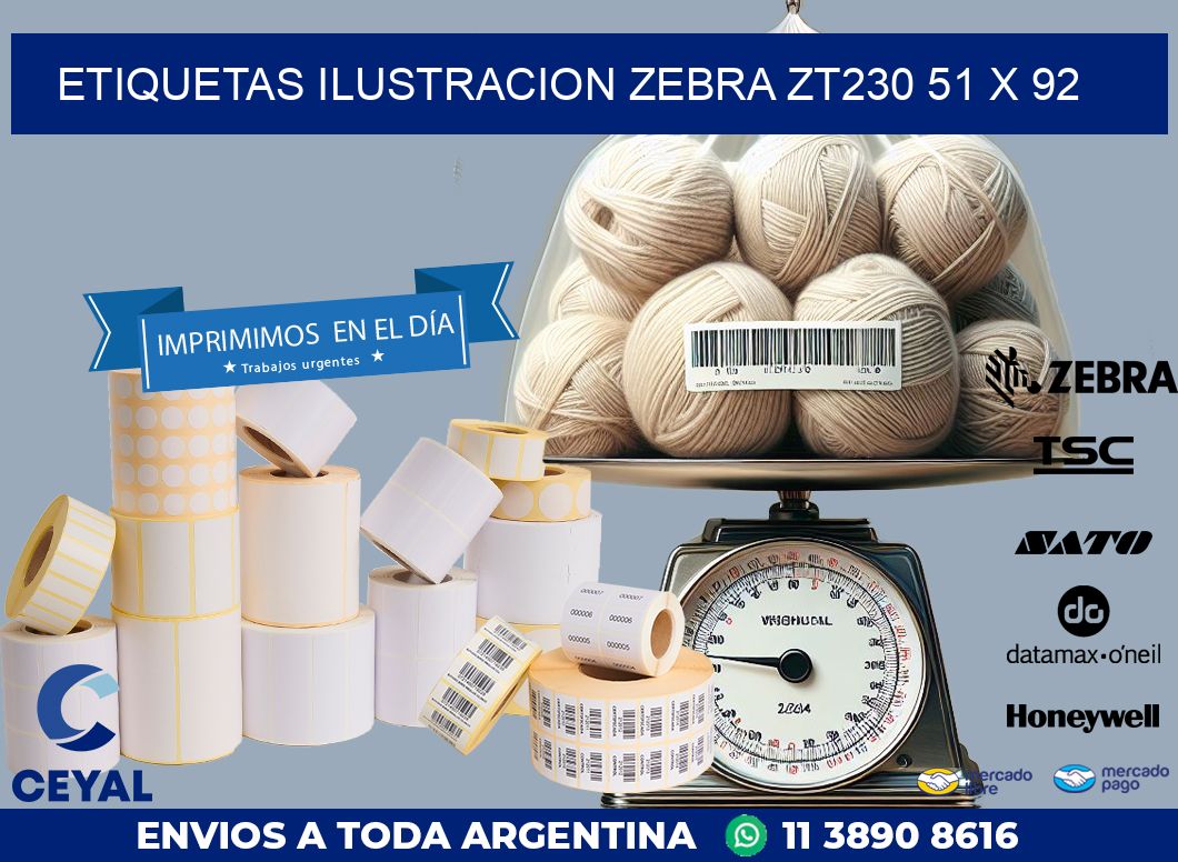 ETIQUETAS ILUSTRACION ZEBRA ZT230 51 x 92